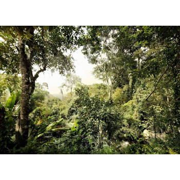 Fotobehang - Dschungel 350x250cm - Papierbehang