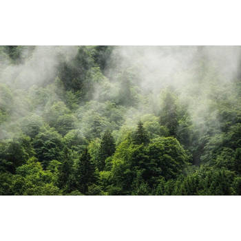 Fotobehang - Forest Land 400x250cm - Vliesbehang