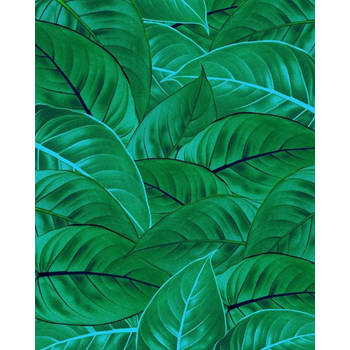 Fotobehang - Jungle Leaves 200x250cm - Vliesbehang