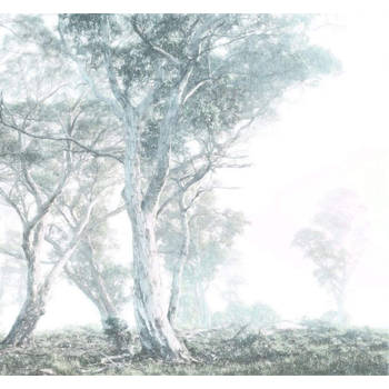 Fotobehang - Magic Trees 300x280cm - Vliesbehang