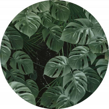 Fotobehang - Novel Monstera 125x125cm - Rond - Vliesbehang - Zelfklevend