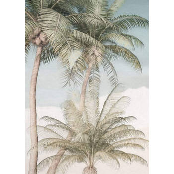 Fotobehang - Palm Oasis 200x280cm - Vliesbehang
