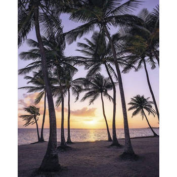 Fotobehang - Palmtrees on Beach 200x250cm - Vliesbehang