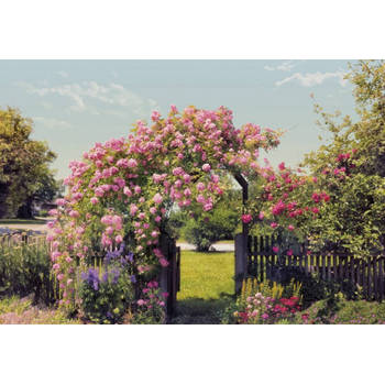 Fotobehang - Rose Garden 368x254cm - Papierbehang