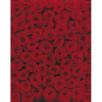 Fotobehang - Roses 194x270cm - Papierbehang