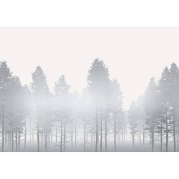 Fotobehang - Silver Haze 400x280cm - Vliesbehang