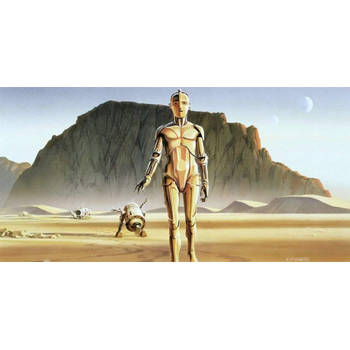 Fotobehang - Star Wars Classic RMQ Droids 500x250cm - Vliesbehang