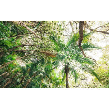 Fotobehang - Touch the Jungle 450x280cm - Vliesbehang