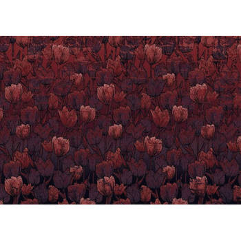 Fotobehang - Tulipe 400x280cm - Vliesbehang