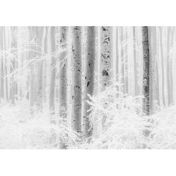 Fotobehang - Winter Wood 400x280cm - Vliesbehang