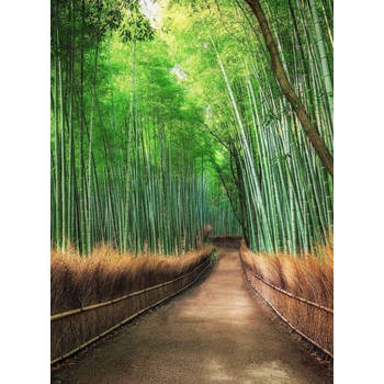 Fotobehang - Bamboo Grove Kyoto 192x260cm - Vliesbehang