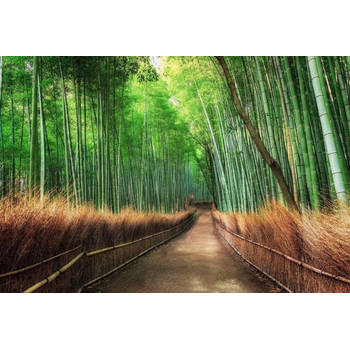 Fotobehang - Bamboo Grove Kyoto 384x260cm - Vliesbehang