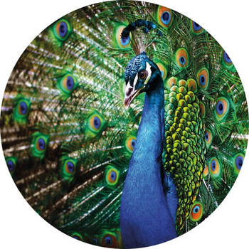 Fotobehang - Beautiful Peacock 140x140cm rond - Vliesbehang