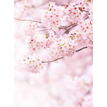 Fotobehang - Delicate Flowers 192x260cm - Vliesbehang
