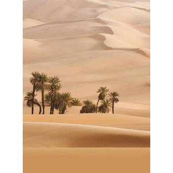 Fotobehang - Dune 192x260cm - Vliesbehang