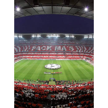 Fotobehang - FC Bayern München Stadion Choreo 192x260cm - Vliesbehang