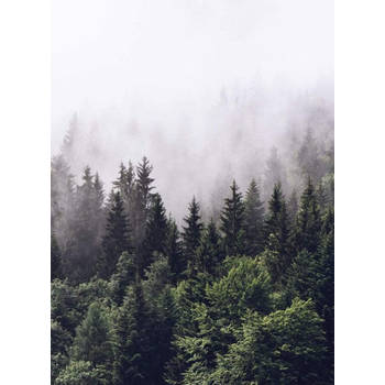 Fotobehang - Foggy Forest 192x260cm - Vliesbehang