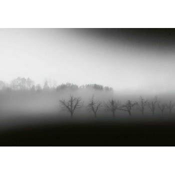 Fotobehang - Foggy Landscape 384x260cm - Vliesbehang