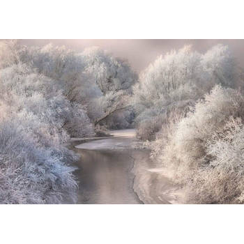 Fotobehang - Frozen Forrest 384x260cm - Vliesbehang