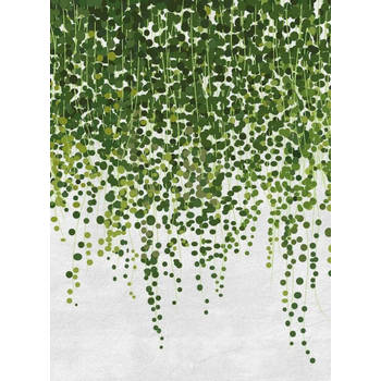 Fotobehang - Hanging Plants 192x260cm - Vliesbehang