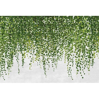 Fotobehang - Hanging Plants 384x260cm - Vliesbehang
