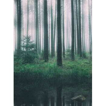 Fotobehang - In the Woods 192x260cm - Vliesbehang