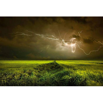Fotobehang - Lightning and Thunder 384x260cm - Vliesbehang