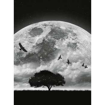 Fotobehang - Moon and Birds 192x260cm - Vliesbehang