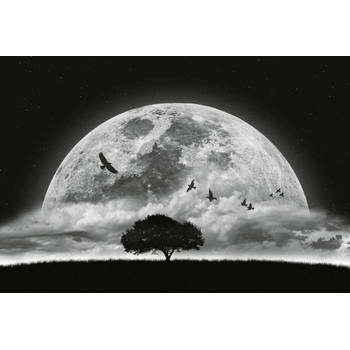 Fotobehang - Moon and Birds 384x260cm - Vliesbehang