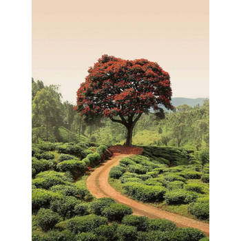 Fotobehang - Red Tree And Hills In Sri Lanka 192x260cm - Vliesbehang