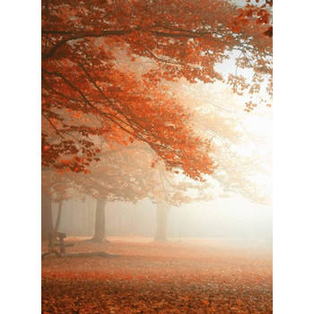 Fotobehang - Sleeping Forest 192x260cm - Vliesbehang