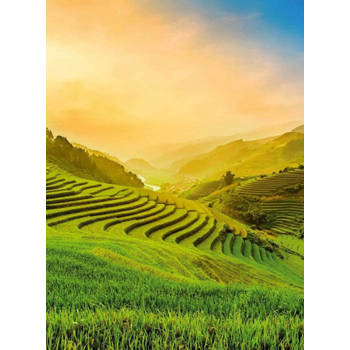 Fotobehang - Terraced Rice Field In Vietnam 192x260cm - Vliesbehang