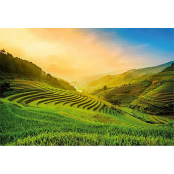 Fotobehang - Terraced Rice Field In Vietnam 384x260cm - Vliesbehang