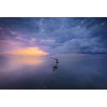 Fotobehang - Wetland Sunrise 384x260cm - Vliesbehang
