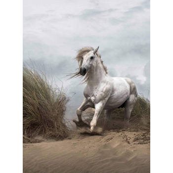 Fotobehang - White Wild Horse 192x260cm - Vliesbehang