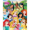 Poster Disney Princess I Am a Princess 40x50cm