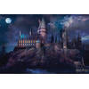 Poster Harry Potter - Hogwarts 91,5x61cm