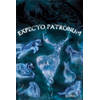 Poster Harry Potter Patronus 61x91,5cm