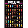 Poster Mixology 61x91,5cm
