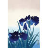 Poster Ohara Koson Iris Flowers 61x91,5cm