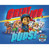 Poster Paw Patrol Great Job Pups 50x40cm