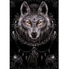 Poster Spiral Wolf Dreams 61x91,5cm