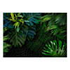 Fotobehang - Dark Jungle 100x70cm - Vliesbehang