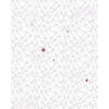 Fotobehang - Cherry Blossom 200x250cm - Vliesbehang