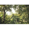 Fotobehang - Dschungel 368x248cm - Vliesbehang