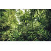 Fotobehang - Into The Jungle 400x250cm - Vliesbehang