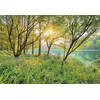 Fotobehang - Spring Lake National Geographic 368x254cm - Papierbehang