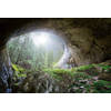 Fotobehang - Cave In The Forest 384x260cm - Vliesbehang