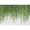 Fotobehang - Hanging Plants 384x260cm - Vliesbehang