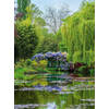 Fotobehang - Monets Garden In France 192x260cm - Vliesbehang